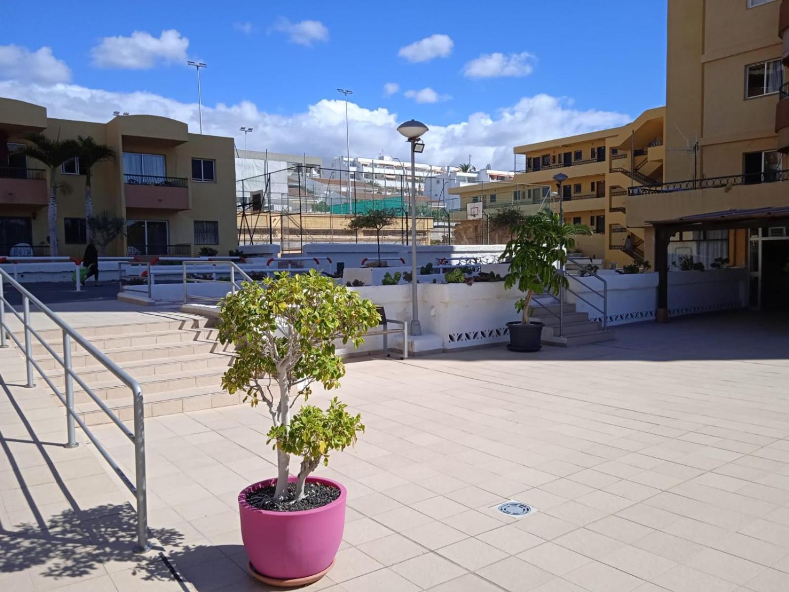 ארונה Firstline Apartment Los Cristianos מראה חיצוני תמונה